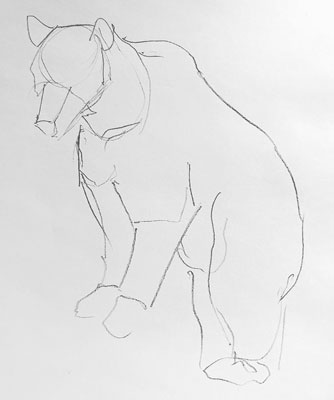 bear-drawing-easy-how-to-draw-step-by-step-outline