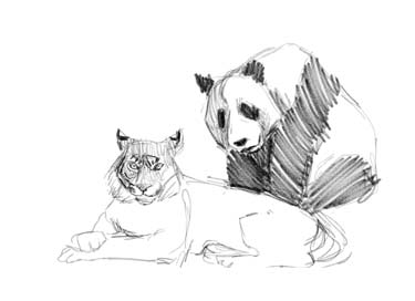 how-to-draw-animals-step-by-step-easy-art-tutorial-panda-lion