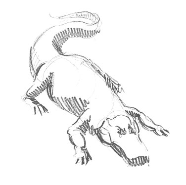 alligator-drawing-easy-outline-how-to-draw-step-by-step-realistic
