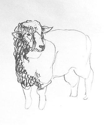 sheep-drawing-easy-outline-how-to-draw-step-by-step-fun-cute-cool