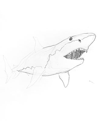 shark-drawing-easy-outline-how-to-draw-step-by-step-fun-cute-cool-scary