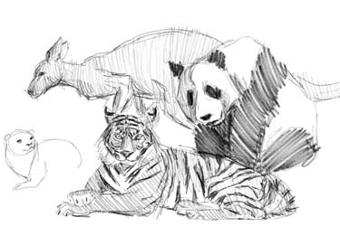 how-to-draw-animals-step-by-step-easy-art-tutorial-panda-lion-drawing-artwork