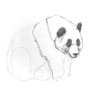 panda-drawing-easy-how-to-draw-step-by-step-outline-bear-pandas-sketch-sketching
