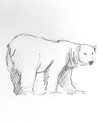 polar-bear-drawing-easy-outline-how-to-draw-fun-cute-cool-site-pens-sketch-pad-art-line-board