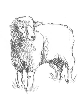 sheep-drawing-easy-outline-how-to-draw-step-by-step-fun-cute-cool-site-pens-sketch-pad-art-line-board