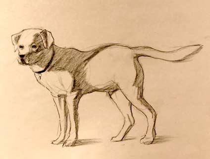 simple dog drawings step by step