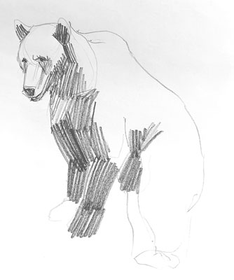 bear-drawing-easy-how-to-draw-step-by-step-outline-artforkidshub-site-pens-sketch-pad-art-line-board-online
