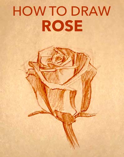 how-to-draw-a-rose-easy-simple-fast-quick-drawing-sketch-sketching-flower-petal-vase-realistic-shading-step-by-step-art-tutorial-lesson-gallery-plant-painting-paint-artist-simple