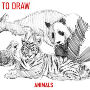 how-to-draw-animals-step-by-step-easy-art-drawing-tutorial-simple-quick-fast-sketch-sketching-book-lion-tiger-parrot-kangaroo-animal-otter-pencil-charcoal-panda