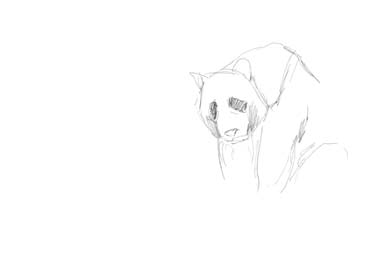 how to draw animals step by step