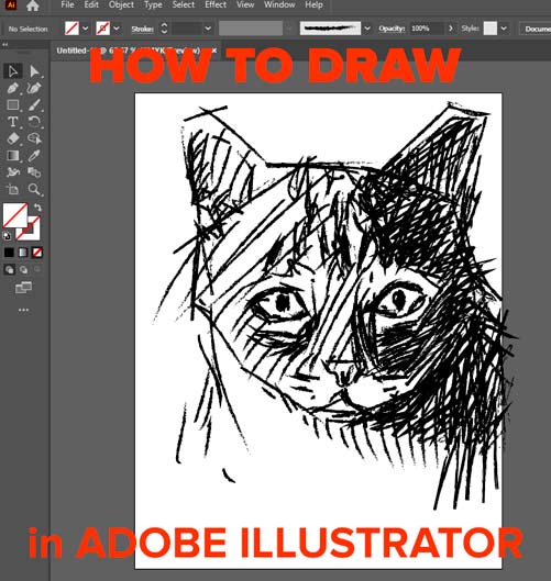 how-to-draw-in-adobe-illustrator-step-by-step-easy-tutorial-guide-beginner-sketch-draw-drawing-cc-acrobat-procreate-digital-art-artwork-artist-simple-quick-floor-plan-venn-diagram-person-cat