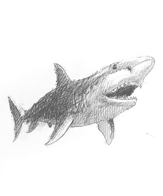 shark-drawing-easy-outline-how-to-draw-step-by-step-fun-cute-cool-scary-sketch-pad-art-line-board-online-animated-drawings