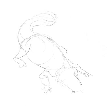 alligator-drawing-easy-outline