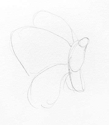 butterfly-drawing-outline