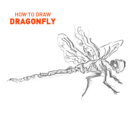 dragonfly drawing easy outline how to draw step by step simple realistic fast hard bug insect bugs insects fly dragon learn fun beginners artist drawer quick tutorial