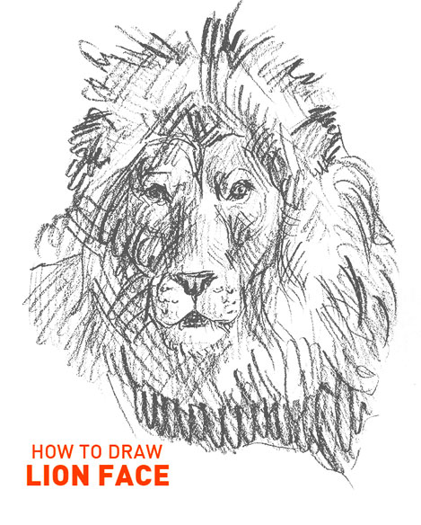 how to draw lion face drawing head mane fun cool sketch learn animal illustrator animals lions realistic step by step sketch sketching steps portrait realistic realism cat