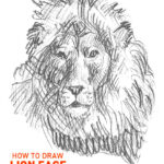 how to draw lion face drawing head mane fun cool sketch learn animal illustrator animals lions realistic step by step sketch sketching steps portrait realistic realism cat