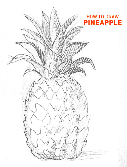 pineapple-drawing-outline-how-to-draw-step-by-step-learn-to-pine-apple-fruit-spiky-easy-simple-hard-fast-beginner-advanced-tutorial-ninja-leafs-quick-pencil-sketch-sketching-artist-drawer