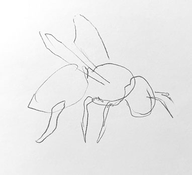 bee-drawing-easy-step-by-step-outline
