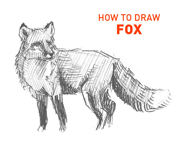 fox drawing easy how to draw step by step outline sketch sketching realistic foxes animals kids beginners fast quick simple unique cool cute fun line hound pencil