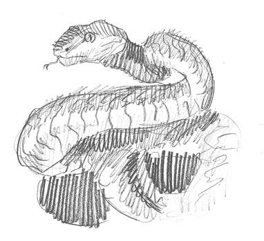snake-drawing-easy-how-to-draw-step-by-step-snakes-animal-cute-cool-fun-nature-sketch-sketching-simple-line-outline-unique-tangled-wrapped