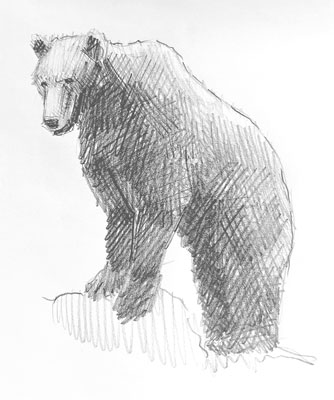bear-drawing-easy-how-to-draw-step-by-step-outline-artforkidshub-site-pens-sketch-pad-art-line-board-online-animated-drawings-websites-tablet-cute-sketches