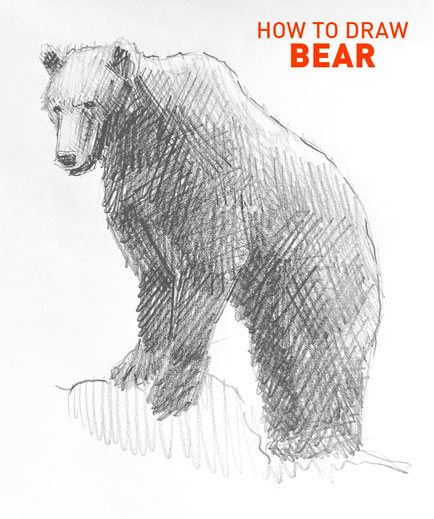 bear drawing easy how to draw step by step outline artforkidshub site pens sketch pad art line board online animated drawings websites tablet cute sketches doodling gesture beginners simple basic stuff to pen free