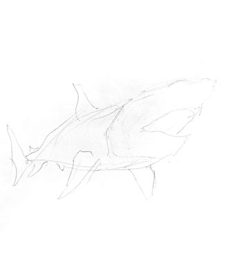 shark-drawing-easy-outline