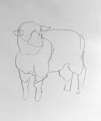 sheep-drawing-easy-outline