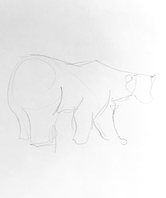 polar-bear-drawing-easy-outline