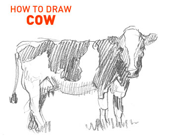 how-to-draw-cow-drawing-easy-step-by-step-sketch-sketching-farm-animal-moo-milk-pencil-realistic-fun-fast-cool-cute-funny-meme-beginner-kids-bull-dairy