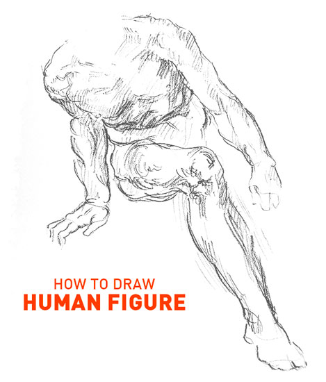 HUMAN FIGURE drawing easy STEP - How To Draw A Human Figure Drawing Realistic Anatomy For Art Learn Step By Step Steps Good Beginners Sketch Sketching Tutorials Michelangelo Person Hyper Draw Pro People Classical
